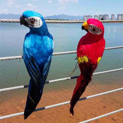 Creative Feather Simulation parrots