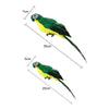 Creative Feather Simulation parrots