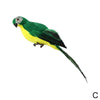 Creative Feather Simulation parrots