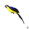 Creative Feather Simulation parrots