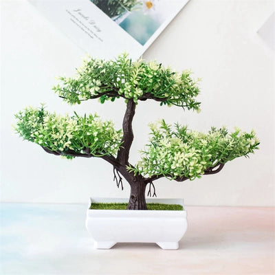 High Quality Bonsai Plants with Pots