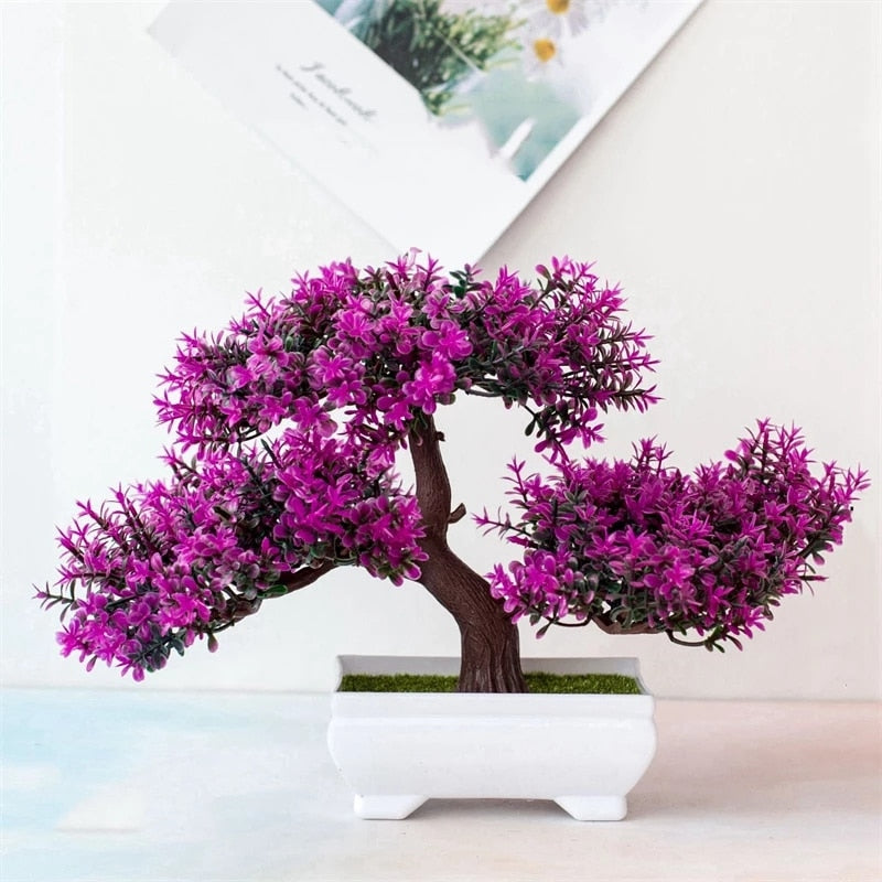 High Quality Bonsai Plants with Pots