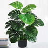 High Quality Palm Leaf Plants with pots