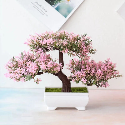 High Quality Bonsai Plants with Pots